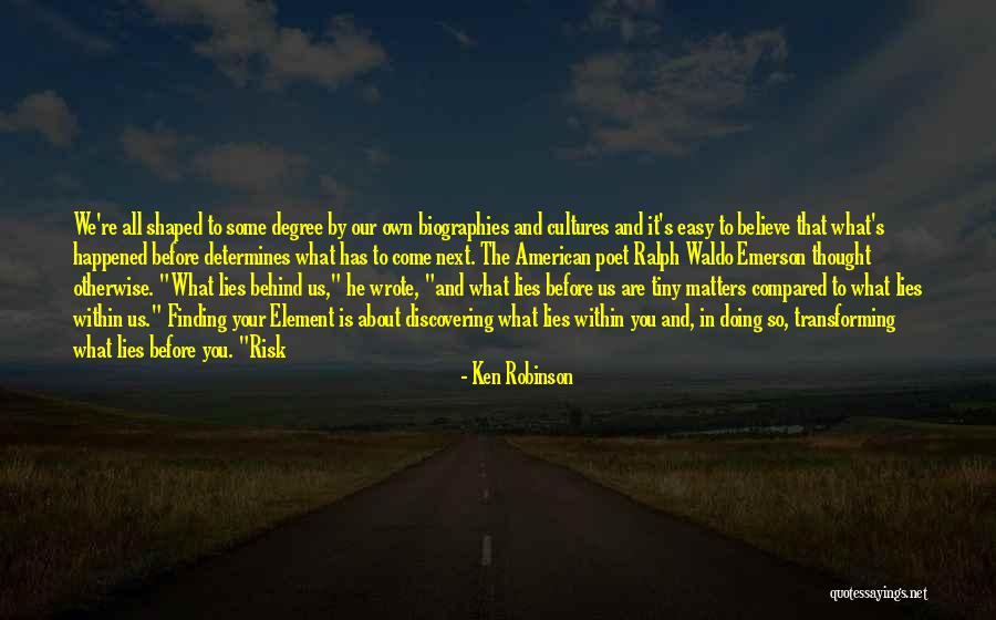 Lies We Believe Quotes By Ken Robinson