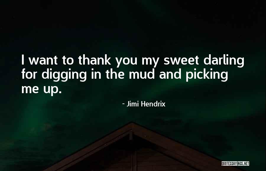 Liesegang Pattern Quotes By Jimi Hendrix Liesegang Pattern Quotes By Jimi Hendrix