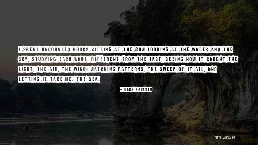 Liesemeyer Agency Quotes By Gary Paulsen Liesemeyer Agency Quotes By Gary Paulsen