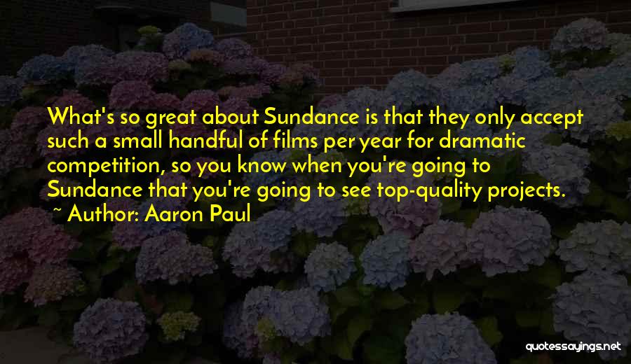 Lieverdje Quotes By Aaron Paul