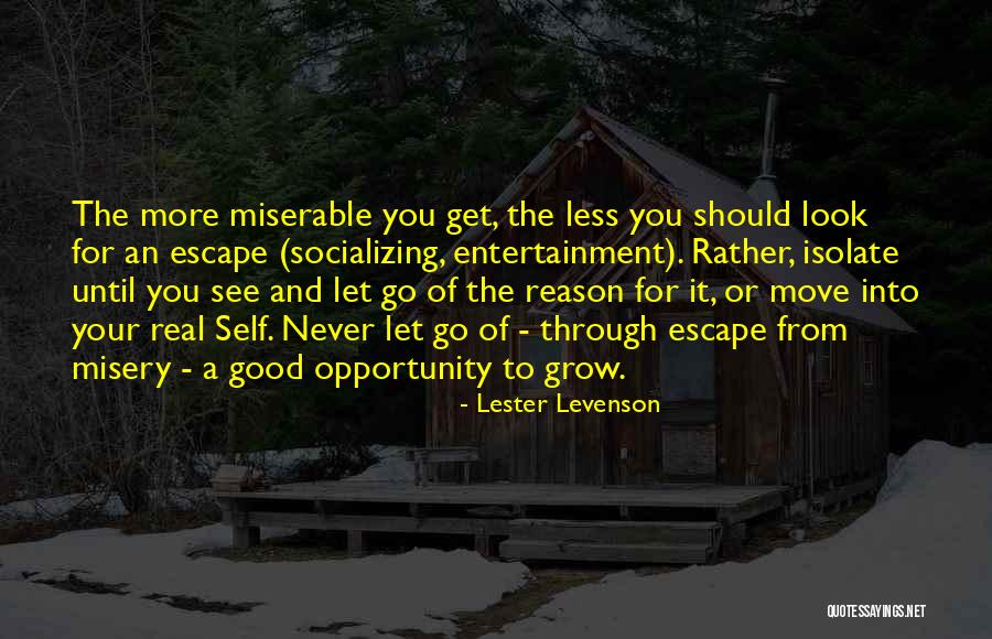 Lifar Company Quotes By Lester Levenson Lifar Company Quotes By Lester Levenson