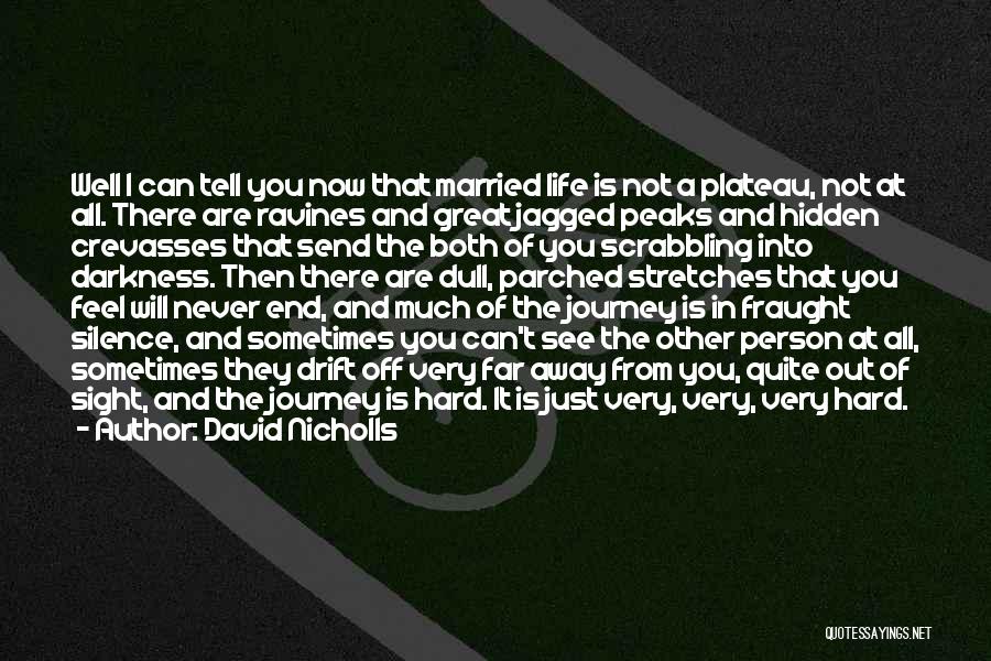 Life A Journey Marriage Quotes By David Nicholls