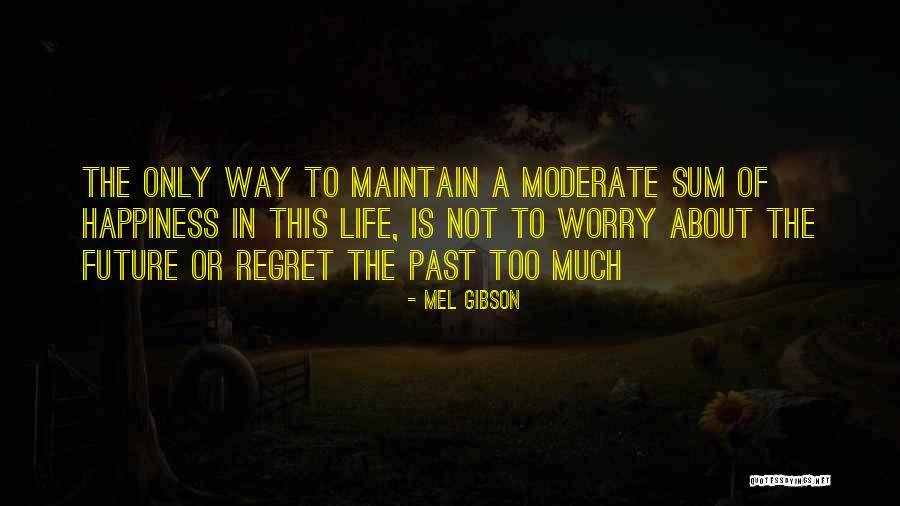 Life About Happiness Quotes By Mel Gibson Life About Happiness Quotes By Mel Gibson