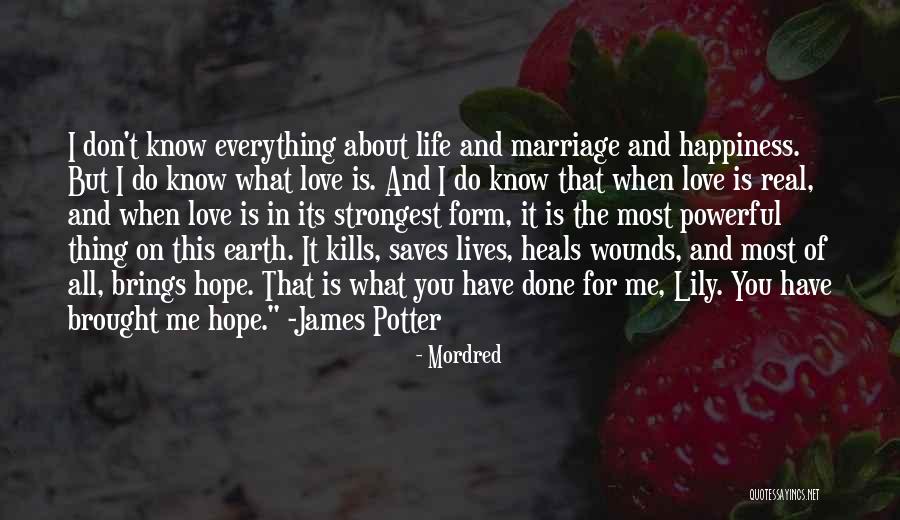 Life About Happiness Quotes By Mordred Life About Happiness Quotes By Mordred