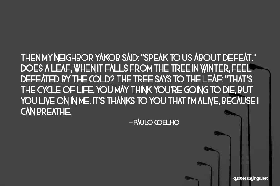 Life About To Die Quotes By Paulo Coelho Life About To Die Quotes By Paulo Coelho