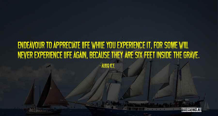 Life Acceptance Quotes By Auliq Ice Life Acceptance Quotes By Auliq Ice