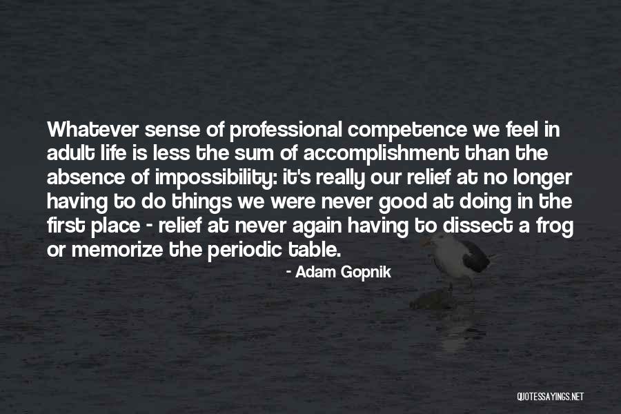 Life Accomplishment Quotes By Adam Gopnik Life Accomplishment Quotes By Adam Gopnik