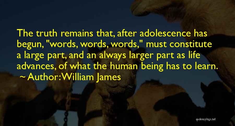 Life Adolescence Quotes By William James