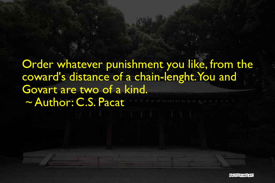 Life After High School Short Story Quotes By C.S. Pacat