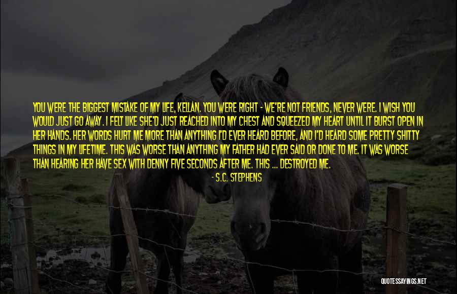 Life After Mistake Quotes By S.C. Stephens Life After Mistake Quotes By S.C. Stephens