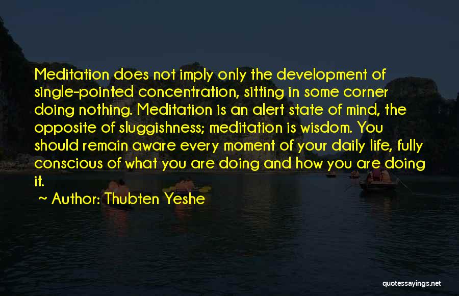 Life Alert Quotes By Thubten Yeshe