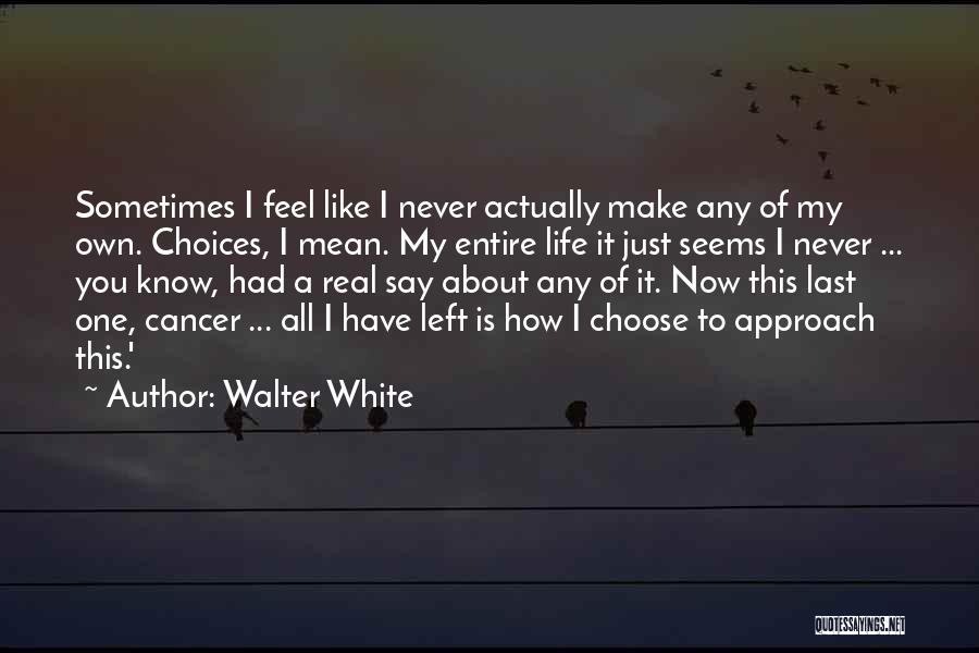 Life All About Choices Quotes By Walter White