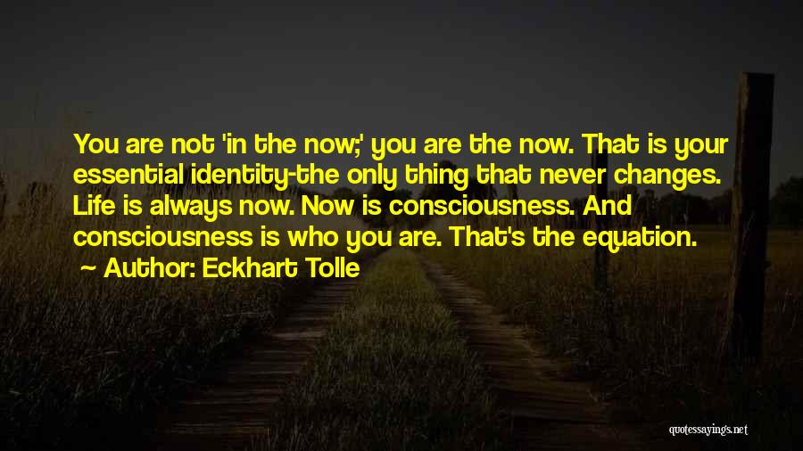 Life Always Changes Quotes By Eckhart Tolle