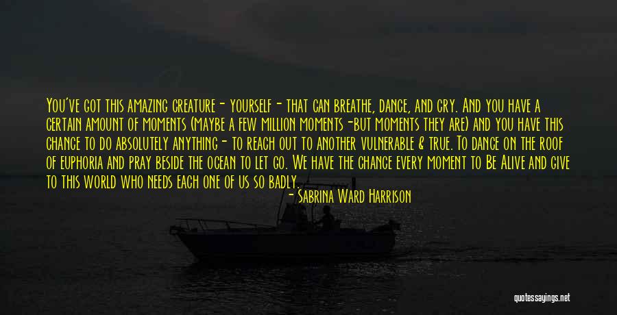 Life Amazing Quotes By Sabrina Ward Harrison Life Amazing Quotes By Sabrina Ward Harrison