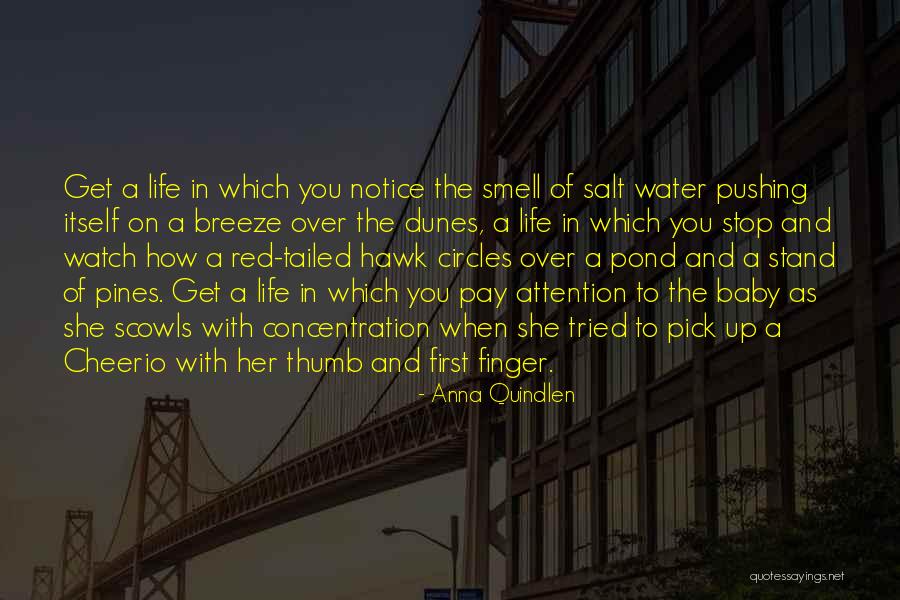 Life And Circles Quotes By Anna Quindlen Life And Circles Quotes By Anna Quindlen