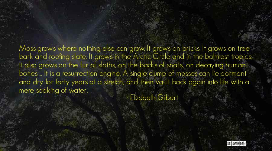 Life And Circles Quotes By Elizabeth Gilbert Life And Circles Quotes By Elizabeth Gilbert