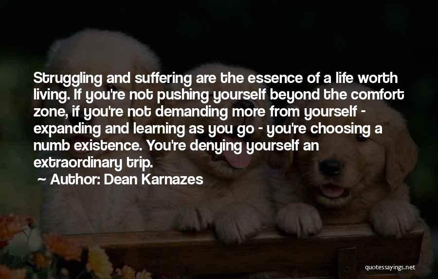 Life And Comfort Zone Quotes By Dean Karnazes