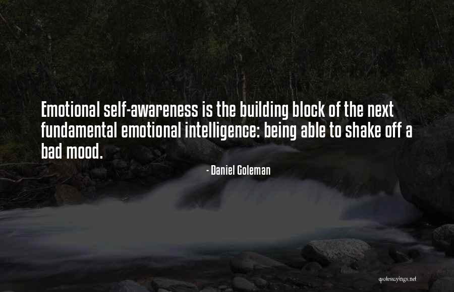 Life And Death Buddha Quotes By Daniel Goleman Life And Death Buddha Quotes By Daniel Goleman