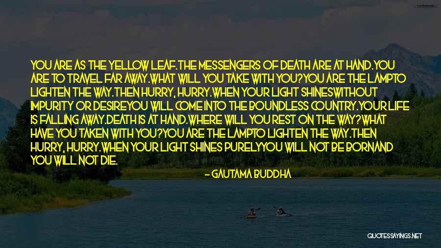Life And Death Buddha Quotes By Gautama Buddha Life And Death Buddha Quotes By Gautama Buddha