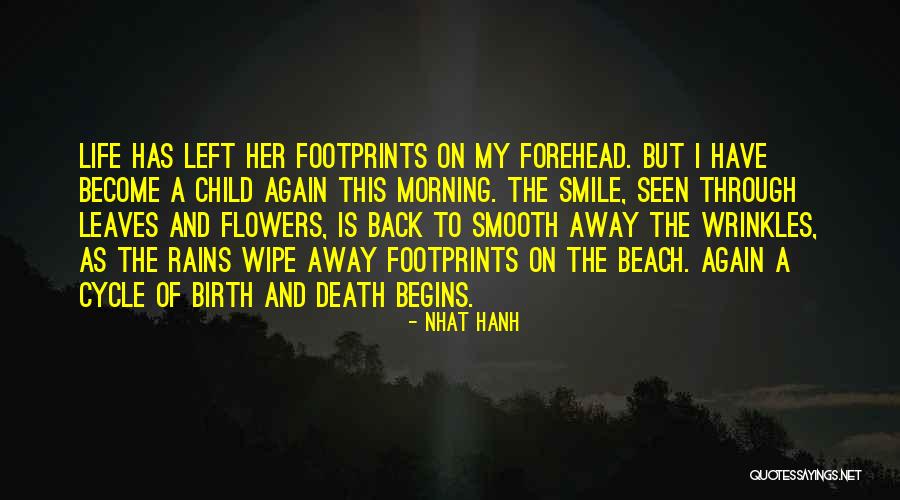 Life And Death Cycle Quotes By Nhat Hanh