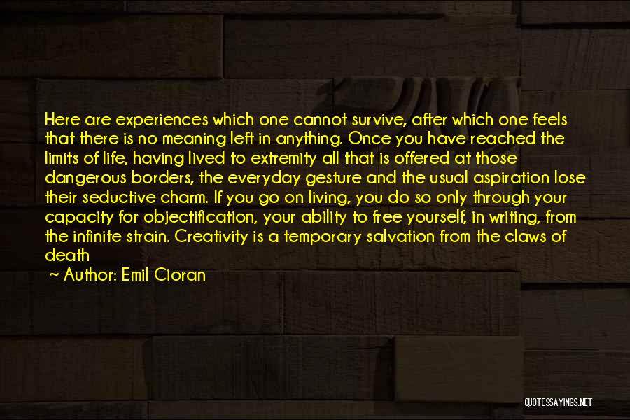 Life And Death Experiences Quotes By Emil Cioran