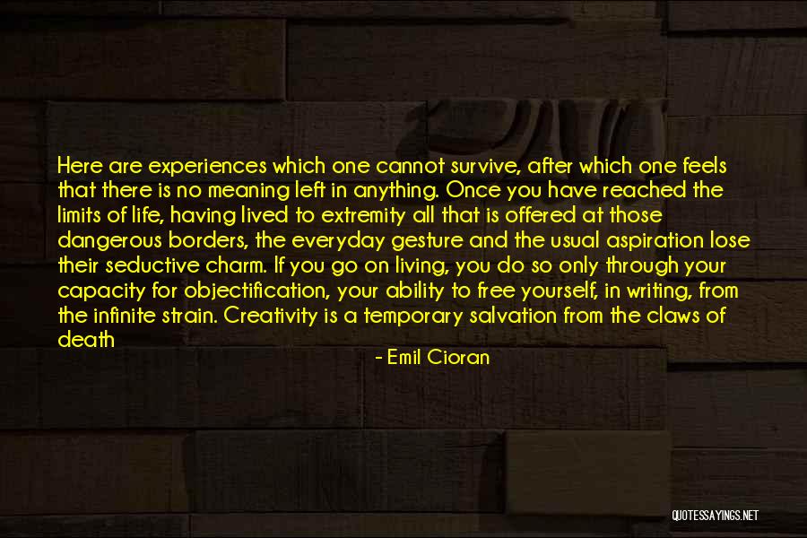 Life And Death Experiences Quotes By Emil Cioran