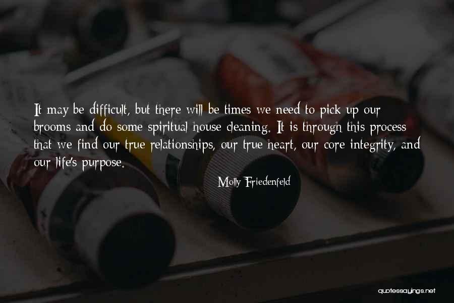 Life And Difficult Times Quotes By Molly Friedenfeld