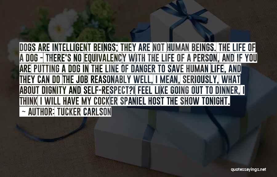 Life And Dignity Of The Human Person Quotes By Tucker Carlson