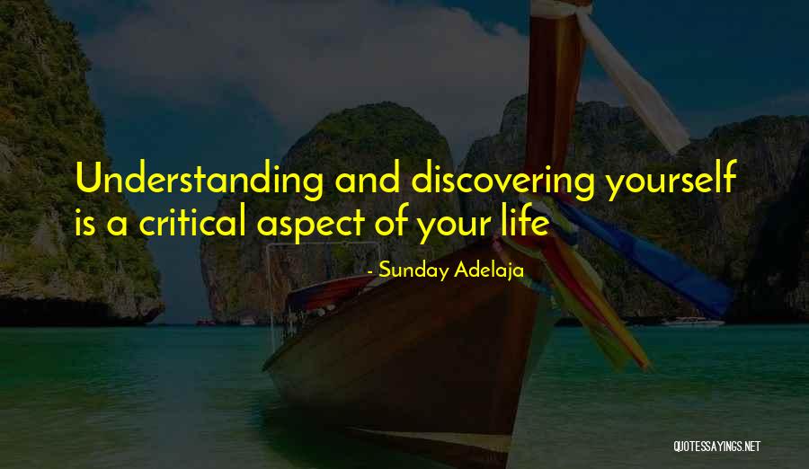 Life And Discovery Quotes By Sunday Adelaja