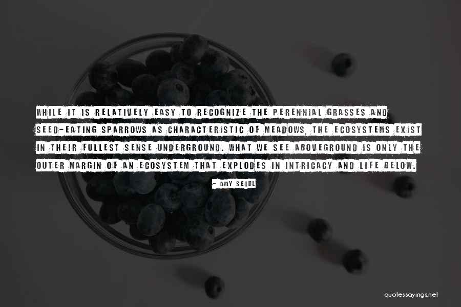 Life And Ecosystems Quotes By Amy Seidl Life And Ecosystems Quotes By Amy Seidl