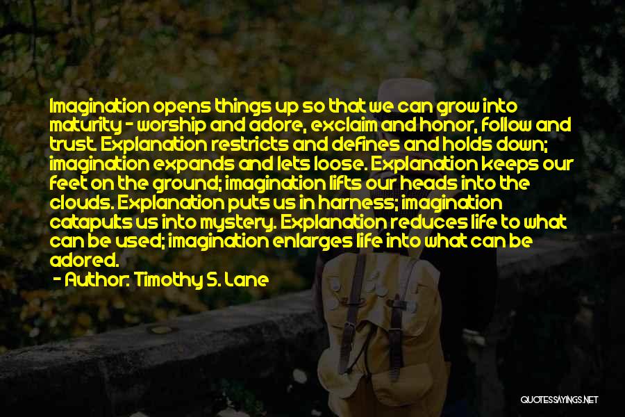 Life And Explanation Quotes By Timothy S. Lane