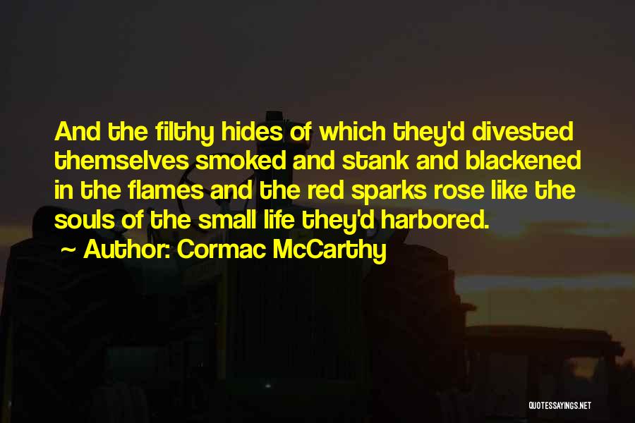 Life And Flames Quotes By Cormac McCarthy