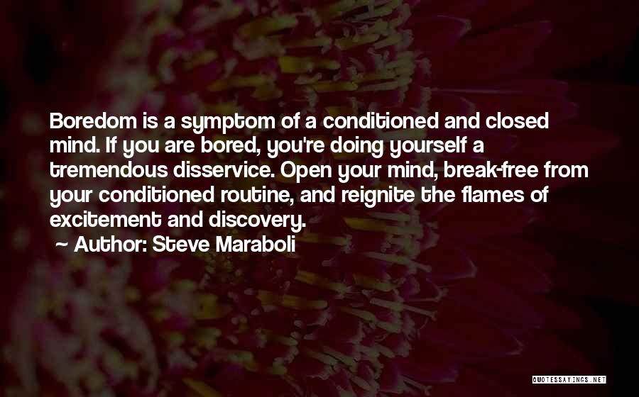 Life And Flames Quotes By Steve Maraboli