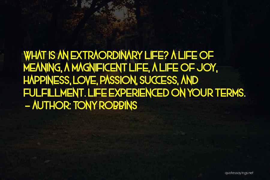 Life And Happiness And Success Quotes By Tony Robbins