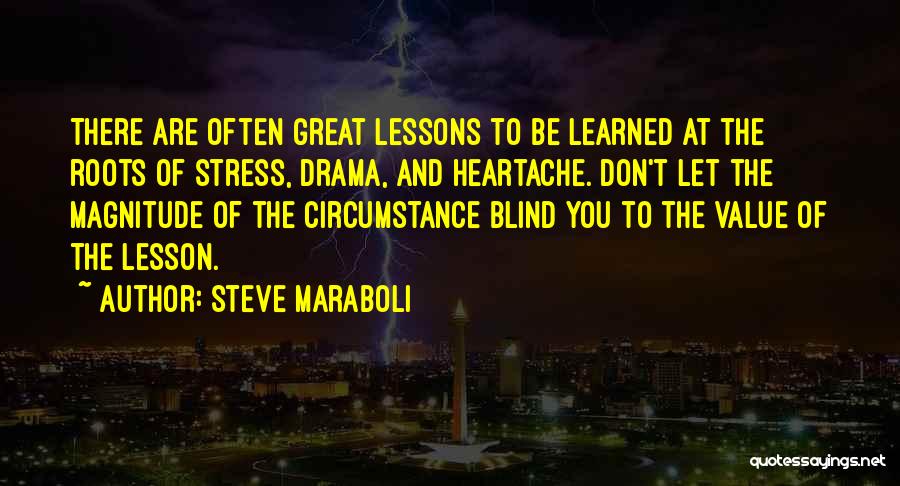 Life And Heartache Quotes By Steve Maraboli