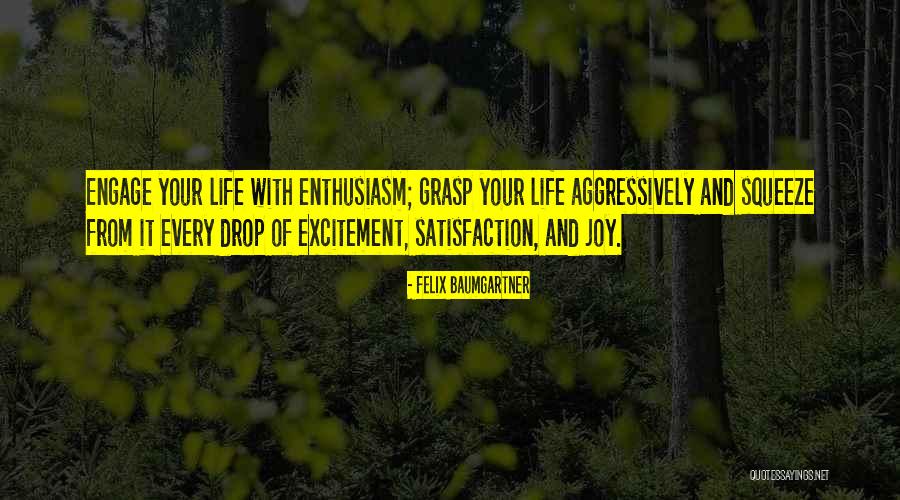 Life And Joy Quotes By Felix Baumgartner Life And Joy Quotes By Felix Baumgartner