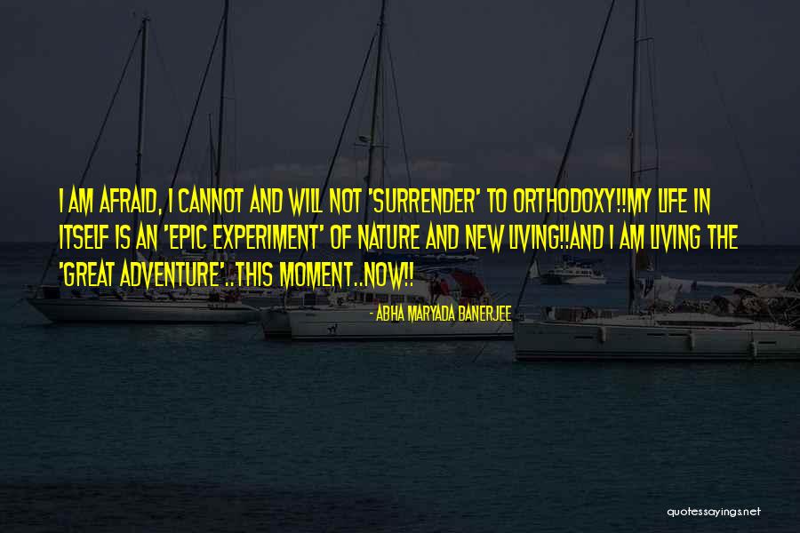 Life And Living In The Moment Quotes By Abha Maryada Banerjee Life And Living In The Moment Quotes By Abha Maryada Banerjee