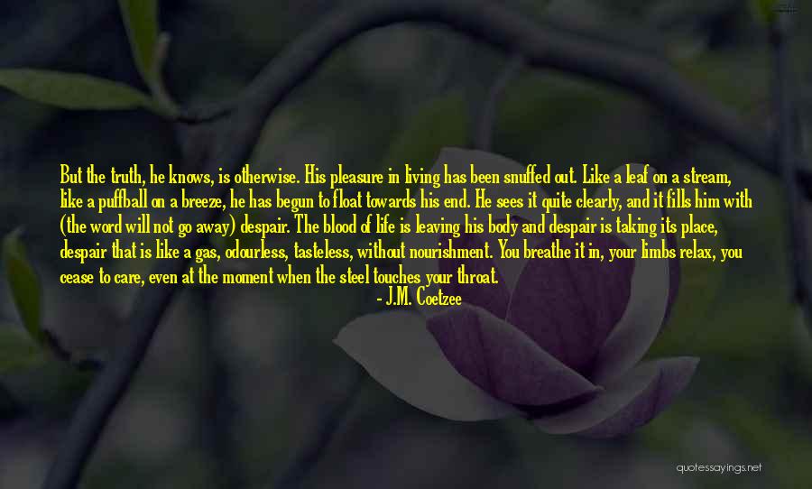 Life And Living In The Moment Quotes By J.M. Coetzee Life And Living In The Moment Quotes By J.M. Coetzee