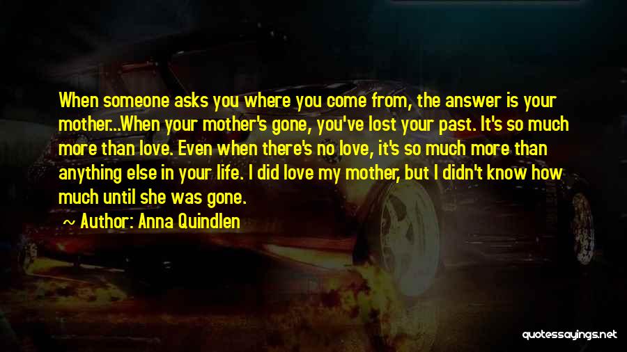 Life And Losing Someone Quotes By Anna Quindlen