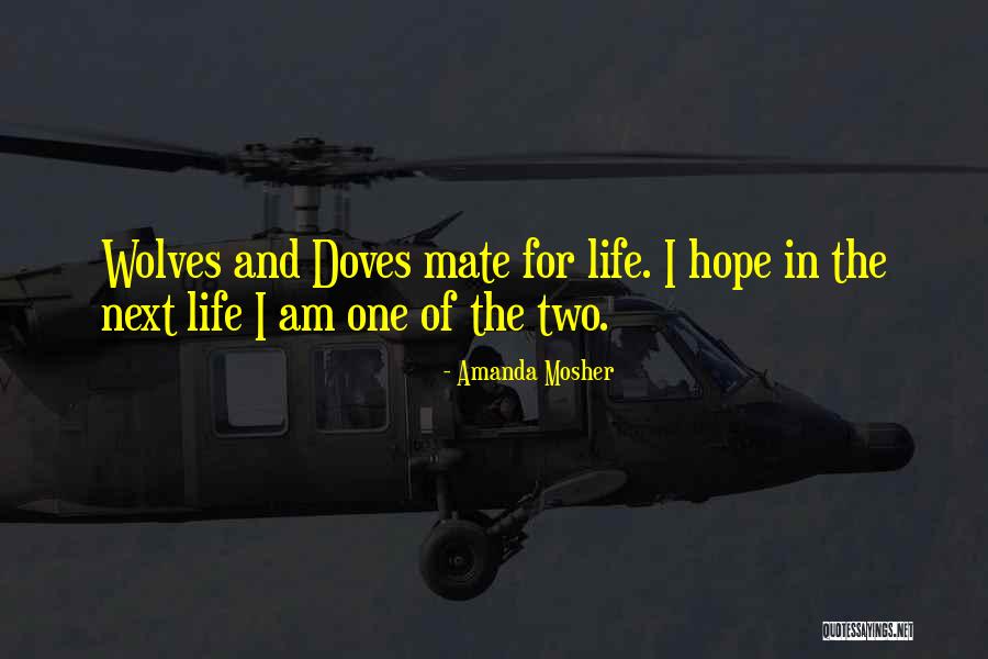 Life And Love Relationships Quotes By Amanda Mosher Life And Love Relationships Quotes By Amanda Mosher