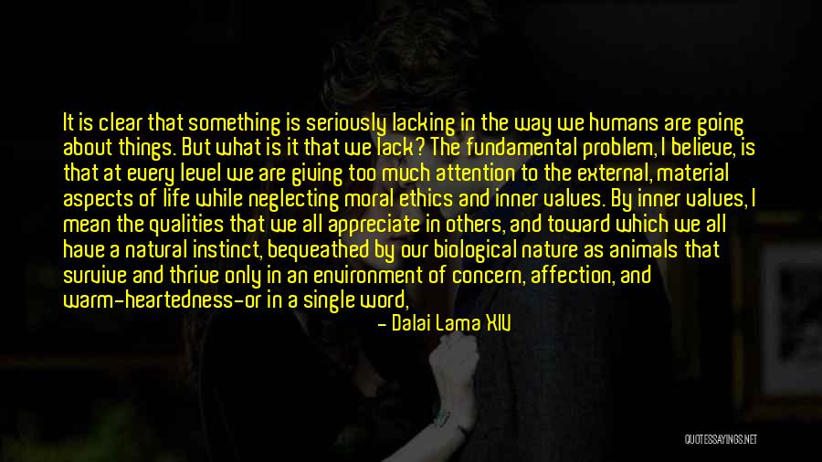 Life And Material Things Quotes By Dalai Lama XIV