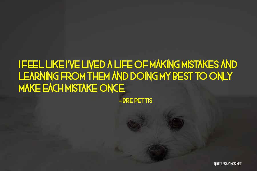 Life And Mistakes Learning Quotes By Bre Pettis