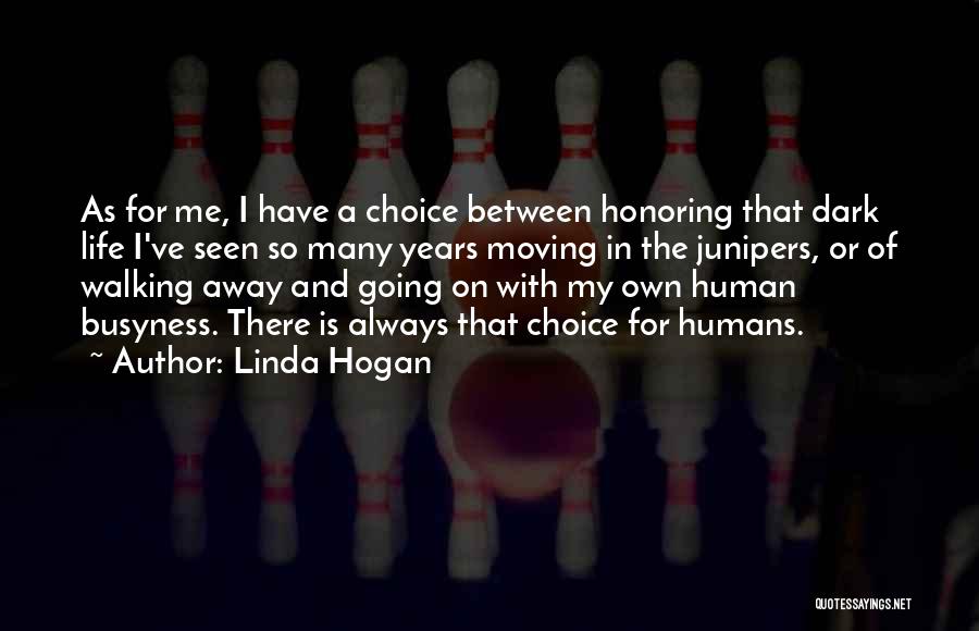 Life And Moving On Quotes By Linda Hogan