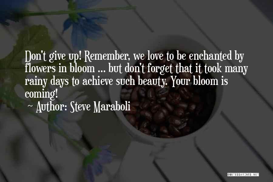 Life And Rainy Days Quotes By Steve Maraboli