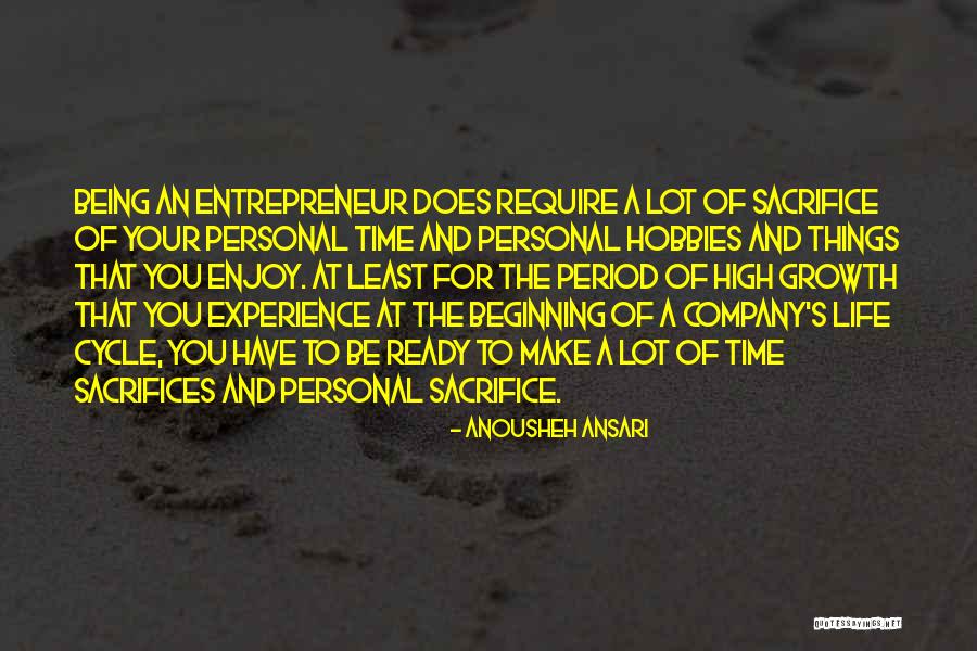 Life And Sacrifices Quotes By Anousheh Ansari Life And Sacrifices Quotes By Anousheh Ansari