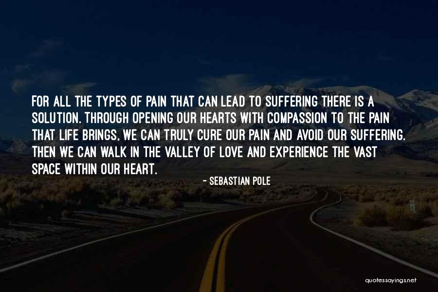 Life And Wellness Quotes By Sebastian Pole