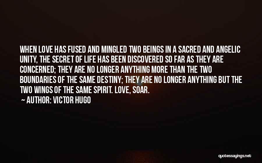 Life Angelic Quotes By Victor Hugo