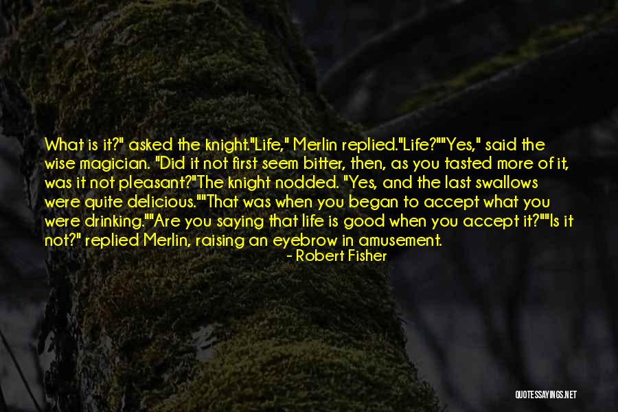 Life Armor Quotes By Robert Fisher Life Armor Quotes By Robert Fisher