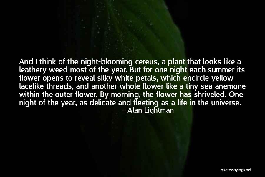 Life As A Flower Quotes By Alan Lightman Life As A Flower Quotes By Alan Lightman