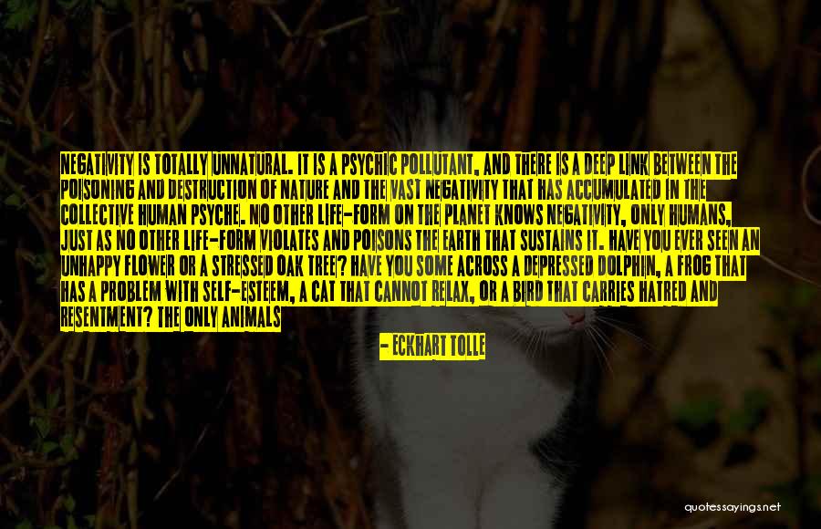 Life As A Flower Quotes By Eckhart Tolle Life As A Flower Quotes By Eckhart Tolle